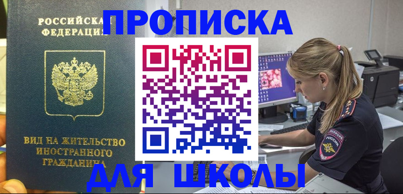 форма 3 в Сольцах